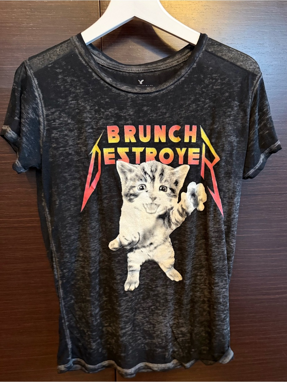 Brunch Destroyer Black Cat Graphic Distressed T-Shirt by American Eagle